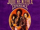 THE JIMI HENDRIX EXPERIENCE   8 VINYL RECORDS IN A BOXED SET   LIMITED ED   NEW