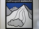 Matthew Good: Avalanche (2003 2xLP Canada Vinyl) Alternative Indie Gatefold
