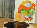 Skip Bifferty - Skip Bifferty LP **UK 1967 1st Mono Press RCA Victor RD 7941**