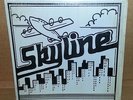 Skyline - 80's Local Private Louisiana Funk Boogie Modern Soul LP