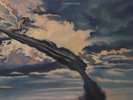 Deep Purple - Stormbringer Vinyl US LP