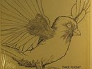 Take Flight - S/T LP - Private Psych Folk SHRINK