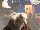 Fall Out Boy, Vinyl, LP, Rare, Infinity On High, Picture Disc