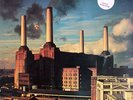 ROCK M-Z / LP 13 - PINK FLOYD - ANIMALS (Pink Vinyl) - EMI D 1977 - EX(-)