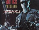 GUNS N' ROSES  You Could Be Mine & Civil War PICTURE SLEEVE TERMINATOR 2 record
