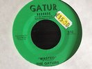 RARE ORIG 7 INCH US  FUNK THE GATURS GATOR BAIT/WASTED  LISTEN