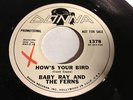 VERY RARE FRANK ZAPPA 45/ BABY RAY AND THE FERNS- ORIG. PROMO-MINT