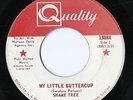 RARE CANADIAN 45 SHAME TREE  ON QUALITY