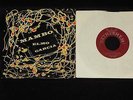 Elmo Garcia Mambo 7