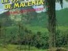 LE PALM JAZZ DE MACENTA SYLIPHONE HEAVY PSYCHE FUNK