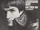 LEATHER BOY on the go 7