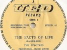 The Spectres - Facts of Life 7'' - UED Records - RARE Irish Freakbeat/Garage