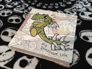 Motion City Soundtrack My Dinosaur Life Vinyl Box Set