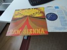SAVOY BROWN RAW SIENNA 1970 MINT UK DECCA WOW TOP RARE