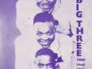 The Big Three Trio (Feat. Willie Dixon) - I Feel Like Steppin' Out (LP) - Vin...