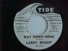 LARRY BRIGHT 45 WAY DOWN HOME/BLOODHOUND TIDE 0021  VG++  PROMO ROCKABILLY