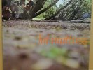 FAT MATTRESS - S/T - ORIGINAL UK 1969 POLYDOR LP ST MINT