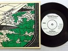 WIRE Map Ref 41 N 93 W b/w Go Ahead HARVEST Picture Sleeve PUNK Original #BB618