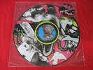 YEAH YEAH YEAHS Fever To Tell LP Picture Disc RARE