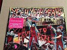 YEAH YEAH YEAHS PICTURE DISC FEVER TO TELL FIRST DAY RELEASE RARE KAREN O
