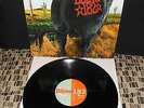 BLINK 182  DUDE RANCH MTS  BLACK vinyl  500  NEW