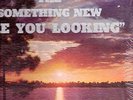 THE SOMETHING NEW 