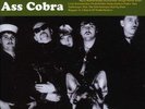 Turbonegro - Ass Cobra Vinyl