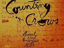 Counting Crows AUGUST AND EVERYTHING AFTER 200g HQ New Sealed VINYL LP