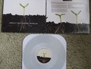 BALANCE AND COMPOSURE / TIGERS JAW SPLIT  LIMITED COLOR VINYL EP