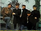 The Hollies LP - Evolution - Deutsche Hansa Records Ausgabe - 76 307 IT