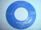 THE SEQUINS-TRY MY LOVE 45-67 ORIG-DETROIT SOUND-NORTHERN SOUL/GIRL GROUP-RARE