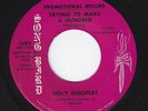 Northern Soul Funk Gospel 45 - Holy Disciples - Trying To Make A Hundred - mp3