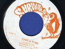 1097 BLUE FLAME-SOUL SYNDICATE-MAKE A TURN-SURVIVAL-REGGAE 45 7