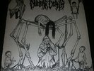 LP NUCLEAR DEATH BRIDE OF INSECT ORG.USA 1990 ISSUE Torchure Morgue Banished