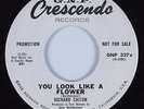 Sweet Soul 45 RICHARD CAITON You Look Like A Flower GNP CRESCENDO HEAR VG++