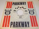 NM PROMO RARE SURF TITTYSHAKER 45/ DIABLITO 