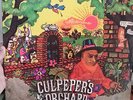 CULPEPER'S ORCHARD s/t LP POLYDOR original DANISH Prog Rock PROGRESSIVE 1971