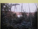 Bonnie Prince Billy Self Titled S/T LP vinyl record indie sealed will oldham