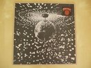 Neil Young Mirror Ball EU Original Vinyl DoLP CSNY Pearl Jam Vedder RARE