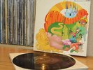 Skip Bifferty - Skip Bifferty LP **UK 1st Press 1967 RCA Victor RD 7941**
