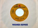 THE BEACH BOYS - CAROLINE, NO / WOULDN'T IT BE NICE - STEAMBOAT LABEL - RARE