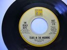 THE BEACH BOYS - TEARS IN THE MORNING / IT'S ABOUT TIME - STOCK COPY