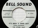 The OTHER HALF 45 I Won't Be Back RARE 1966 NYC Folk Garage C455 HEAR SAMPLE