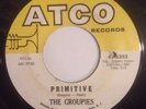 THE GROUPIES Atco 6393 
