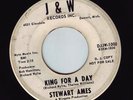 STEWART AMES   Angelina. 60s northern soul 45 on J & W. Popcorn Wylie. HEAR IT