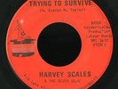 Soul Funk 45   Harvey Scales   Trying To Survive   Magic Touch   rare mp3