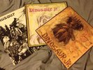 Dinosaur Jr 1st Album You're Living All Over And Bug Original Pressings Vinyl