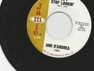 Don't Stop Looking - Ann D'Andrea (USA Jamie original)