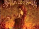 CRADLE OF FILTH 