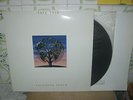 TALK TALK laughing stock 1991 GREEK LP with lyrics near mint